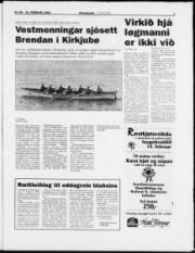 Síða 3