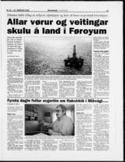 Síða 13