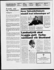 Síða 2