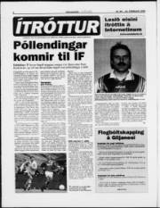 Síða 6
