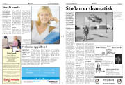 Síða 3