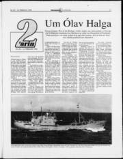 Síða 11