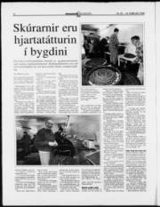 Síða 12