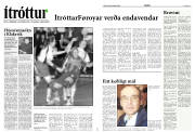 Síða 10