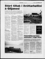 Síða 6