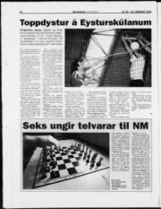 Síða 22