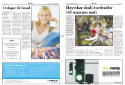 Síða 2