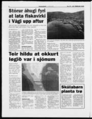 Síða 6
