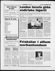 Síða 8