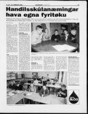 Síða 13