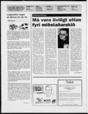 Síða 2