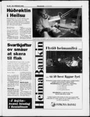 Síða 5
