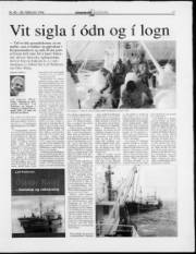 Síða 17