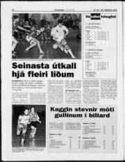 Síða 22