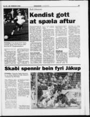 Síða 23
