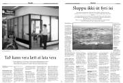 Síða 17