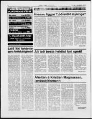 Síða 8