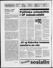 Síða 2