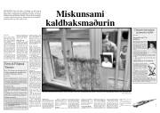 Síða 11
