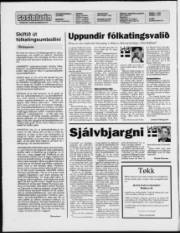 Síða 2