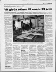 Síða 6