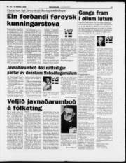 Síða 13