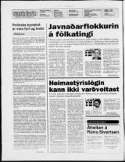 Síða 2