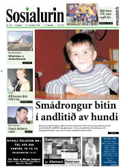 Síða 1