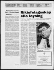 Síða 2
