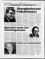 Síða 17