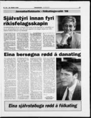 Síða 19