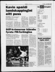 Síða 22