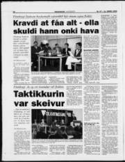 Síða 17