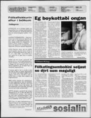 Síða 2