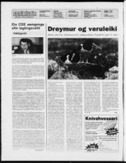 Síða 2