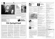 Síða 13
