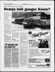 Síða 11