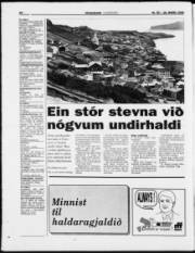 Síða 20