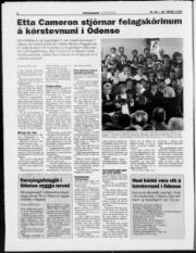 Síða 6