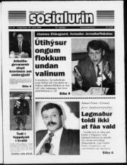 Síða 1