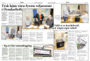 Síða 8