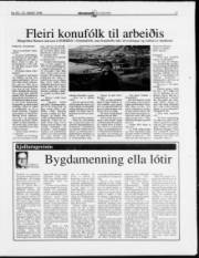 Síða 17