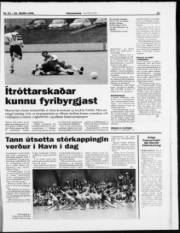 Síða 23