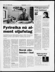 Síða 19