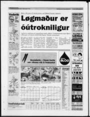 Síða 32