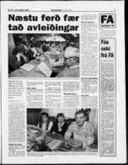 Síða 7