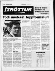 Síða 17