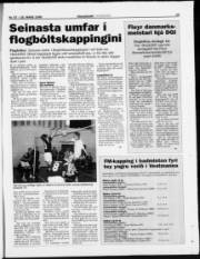 Síða 19