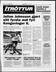 Síða 21