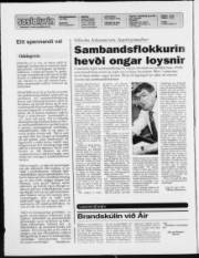 Síða 2